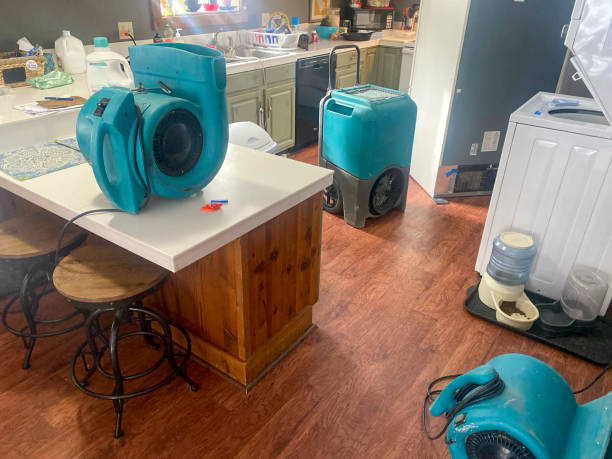 Best Water damage restoration specialists  in Lampasas, TX
