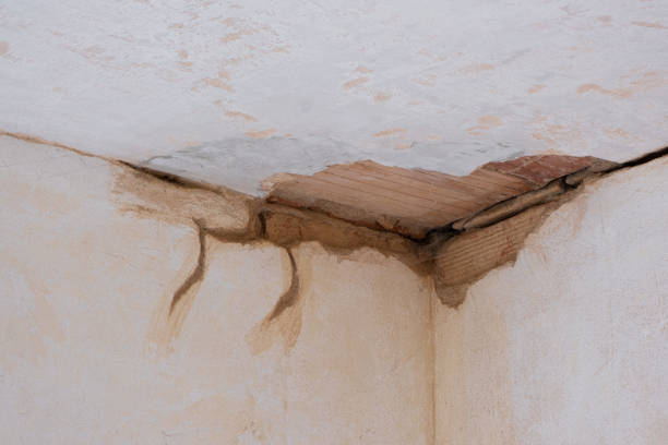 Best Professional water damage repair  in Lampasas, TX