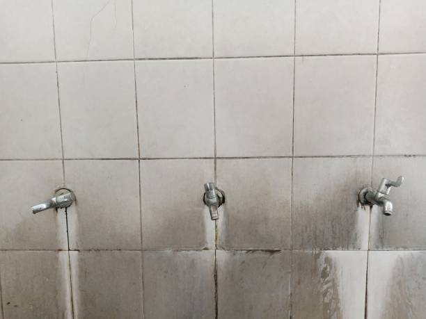 Best Flood damage cleanup  in Lampasas, TX